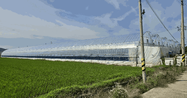 전북특별자치도 군산시 성산면 산곡리 655-1 답 경매 물건 이미지