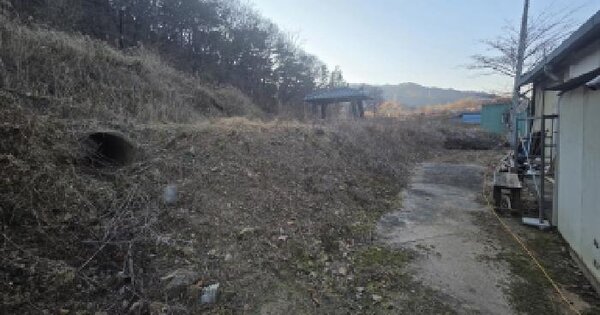 충청북도 제천시 송학면 포전리 311 전 경매 물건 이미지