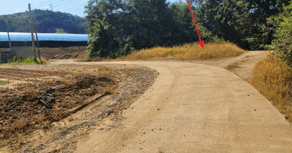 충청남도 아산시 도고면 금산리 49-10 전 경매 물건 이미지