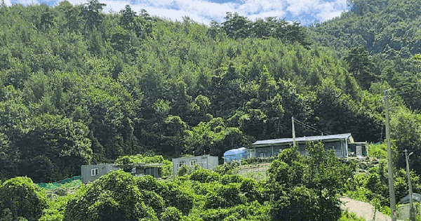 충청북도 음성군 음성읍 삼생리 190-11 임야 경매 물건 이미지