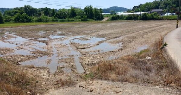 충청남도 서산시 수석동 396-1 답 경매 물건 이미지