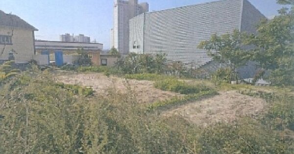 강원특별자치도 강릉시 주문진읍 주문리 329-26 전 경매 물건 이미지