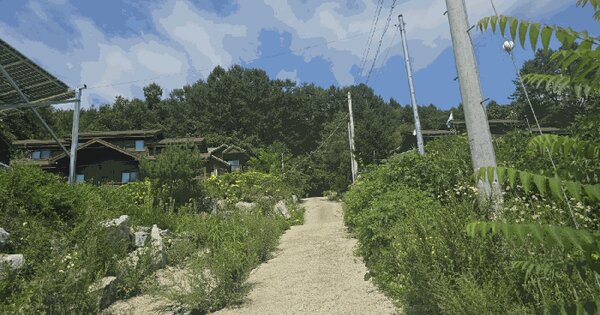 강원특별자치도 횡성군 강림면 강림리 378 임야 경매 물건 이미지