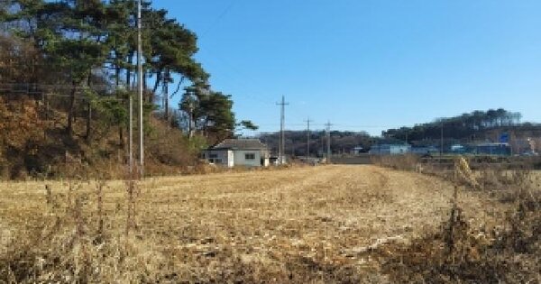 경기도 화성시 만세구 서신면 매화리 831-124 잡종지 경매 물건 이미지