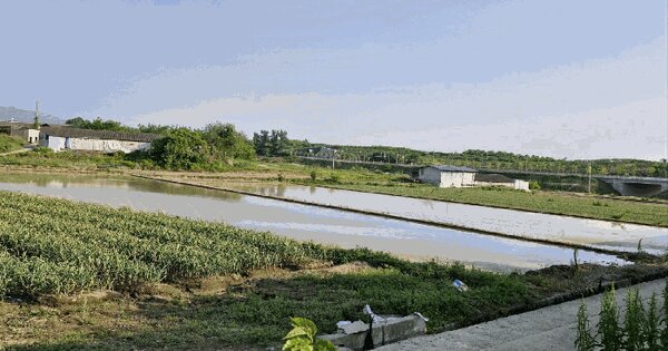 경상남도 창녕군 대합면 대동리 910 답 경매 물건 이미지