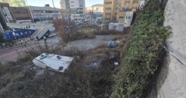 부산광역시 사하구 장림동 186-14 대지 경매 물건 이미지
