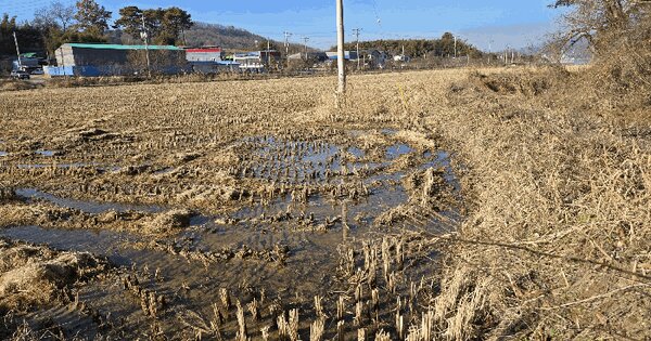충청남도 논산시 연산면 고정리 137-1 답 경매 물건 이미지