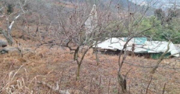 전라남도 순천시 상사면 흘산리 산134-1 전 경매 물건 이미지