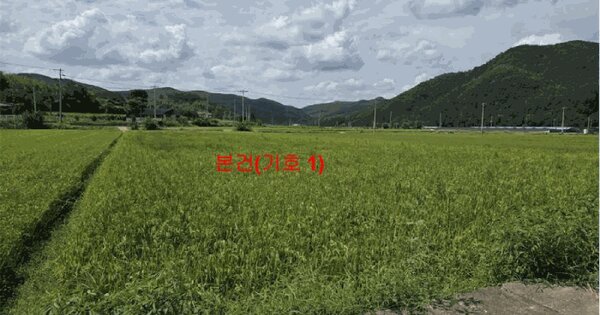 경상남도 합천군 삼가면 외토리 600 답 경매 물건 이미지