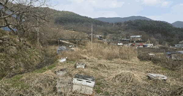 경상남도 하동군 청암면 평촌리 1015-4 답 경매 물건 이미지