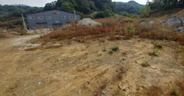 충청남도 금산군 추부면 용지리 203-5 전 경매 물건 이미지