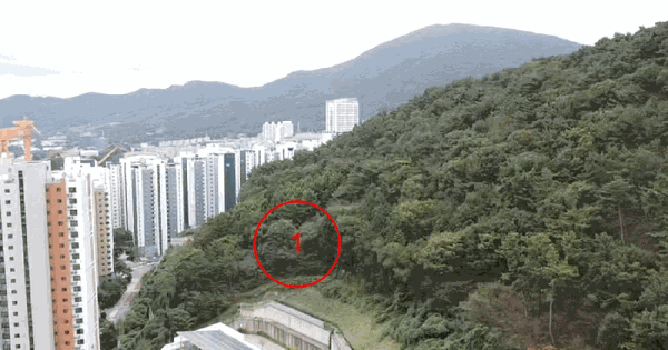 경상남도 거제시 아주동 산32 임야 경매 물건 이미지