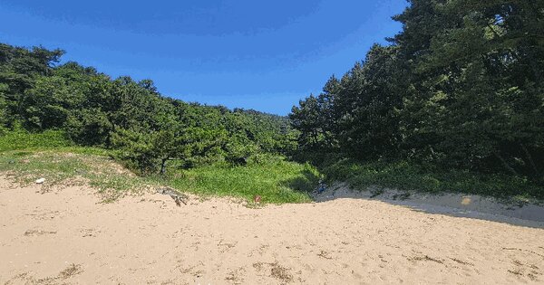 인천광역시 옹진군 덕적면 소야리 403 답 경매 물건 이미지