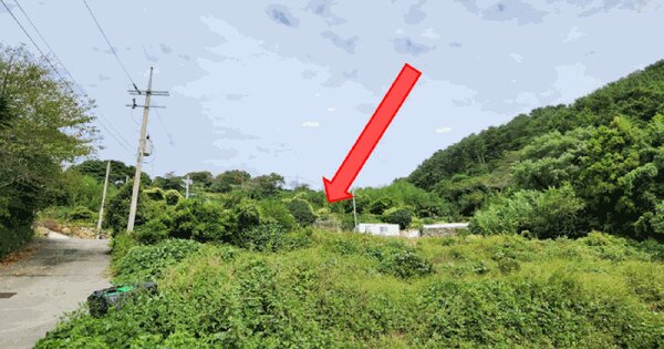 경상남도 통영시 욕지면 동항리 707 전 경매 물건 이미지