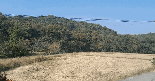 충청남도 당진시 순성면 성북리 279 전 경매 물건 이미지