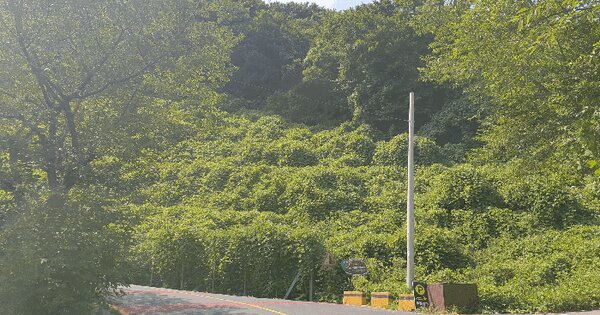 부산광역시 기장군 정관읍 달산리 산31-23 임야 경매 물건 이미지