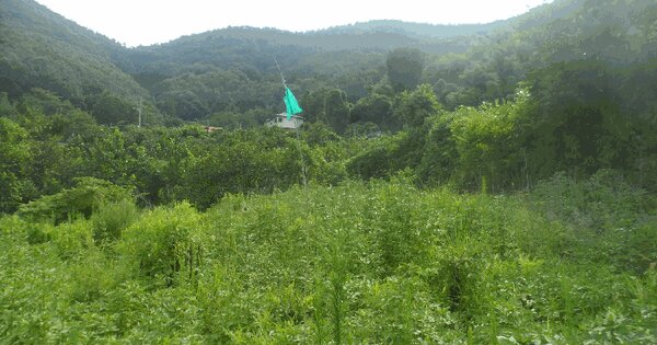 경상남도 거제시 하청면 어온리 299-1 답 경매 물건 이미지