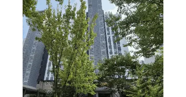 인천광역시 남동구 서창동 639 서창 베니엔 305동 4층404호 아파트 경매 물건 이미지