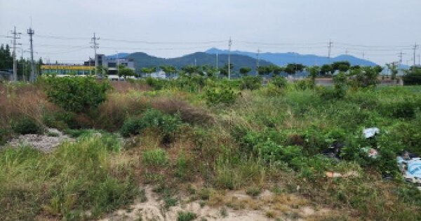 경상남도 양산시 물금읍 증산리 796-4 답 경매 물건 이미지