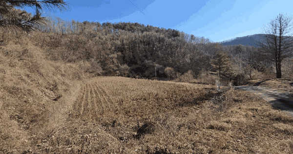 경상북도 봉화군 물야면 오전리 375-2 전 경매 물건 이미지