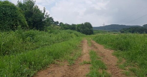 충청남도 천안시 동남구 성남면 신사리 산71-1 임야 경매 물건 이미지