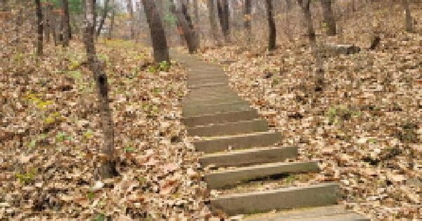 경기도 부천시 소사구 심곡본동 산65 임야 경매 물건 이미지