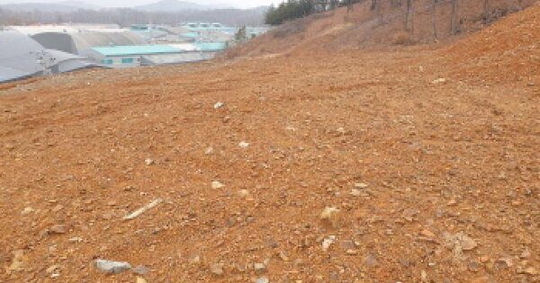 경기도 김포시 월곶면 갈산리 12-49 임야 경매 물건 이미지