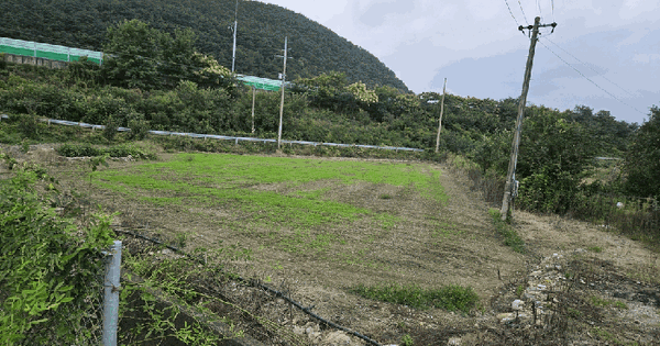 경상북도 영천시 신녕면 부산리 838 답 경매 물건 이미지