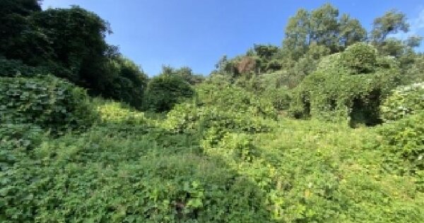 충청남도 당진시 면천면 죽동리 285-3 임야 경매 물건 이미지