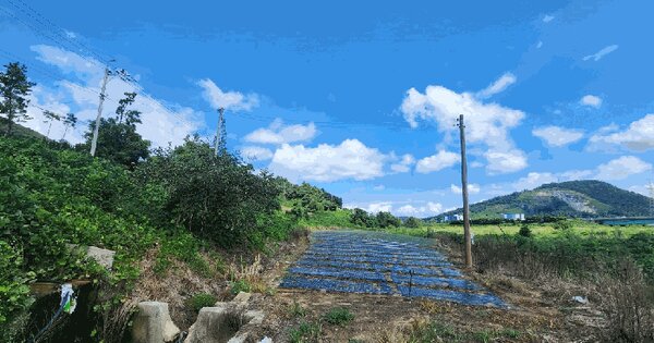 전라남도 해남군 화원면 영호리 85-3 전 경매 물건 이미지
