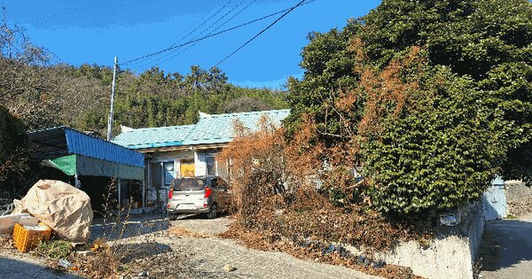 전라남도 장흥군 대덕읍 옹암리 388-4 대지 경매 물건 이미지