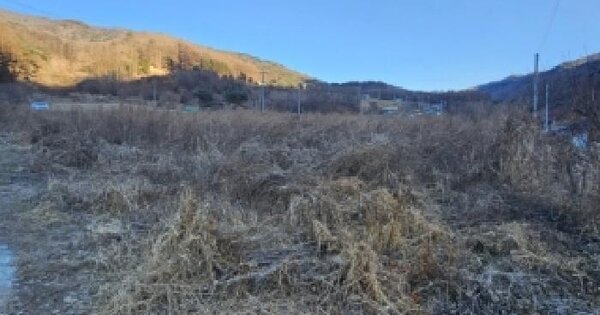 경상북도 영주시 부석면 남대리 62 전 경매 물건 이미지
