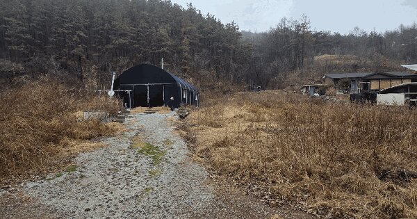 충청북도 음성군 음성읍 삼생리 1027-1 전 경매 물건 이미지