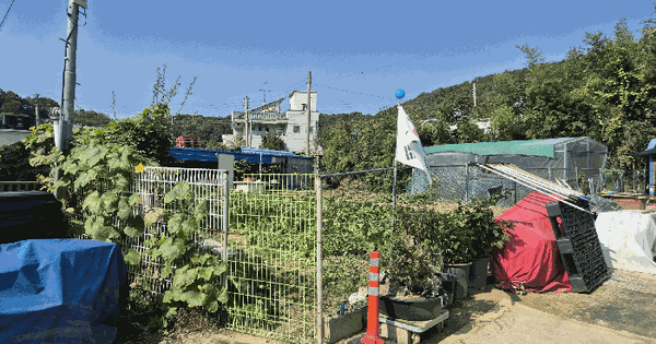 경상북도 칠곡군 석적읍 남율리 642 대지 경매 물건 이미지