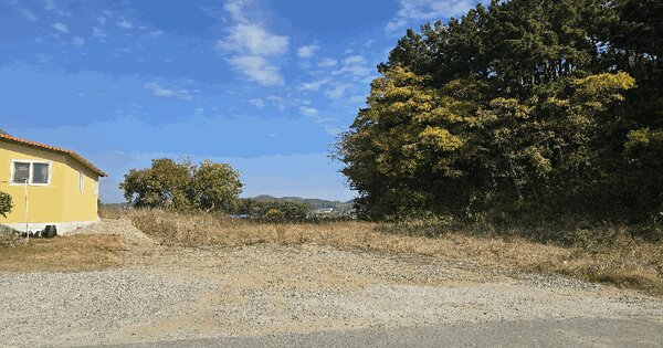 충청남도 서천군 서면 월호리 536 전 경매 물건 이미지