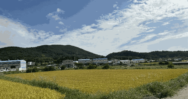 울산광역시 울주군 웅촌면 은현리 920 답 경매 물건 이미지