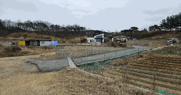 충청남도 아산시 도고면 신통리 182-3 임야 경매 물건 이미지