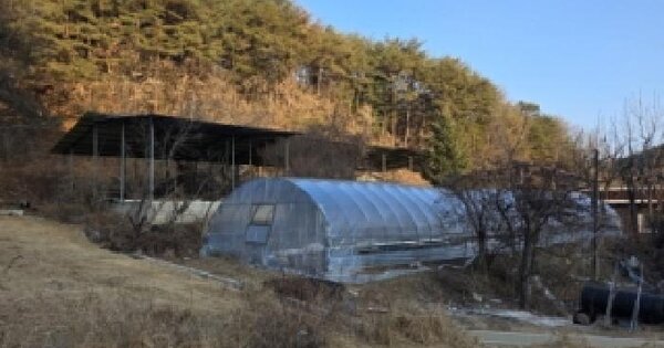 경상북도 안동시 도산면 운곡리 211  동물 및 식물 관련시설 경매 물건 이미지