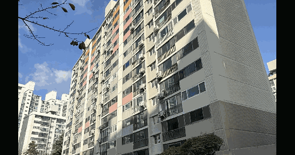 부산광역시 북구 만덕동 911-3 럭키만덕아파트 205동 7층705호 아파트 경매 물건 이미지