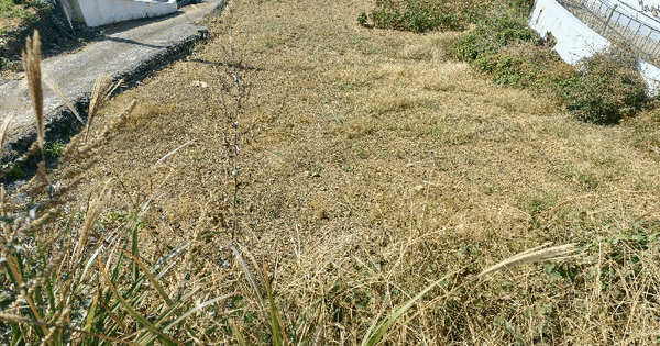 경상남도 남해군 남면 선구리 38-2 전 경매 물건 이미지