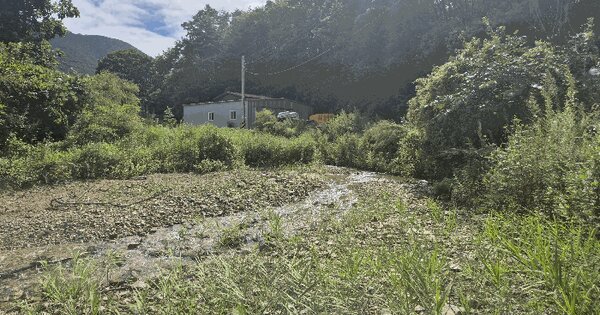 경상북도 포항시 북구 죽장면 상옥리 산224 전 경매 물건 이미지