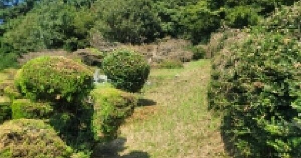 경상남도 통영시 산양읍 풍화리 880 전 경매 물건 이미지