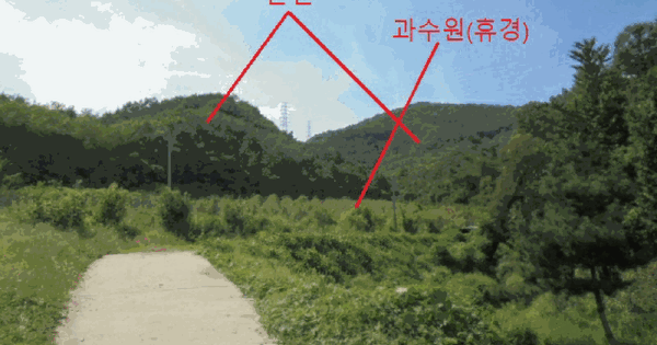 충청북도 충주시 주덕읍 덕련리 산52 임야 경매 물건 이미지
