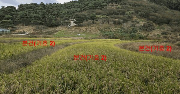 경상남도 합천군 삼가면 용흥리 645 답 경매 물건 이미지