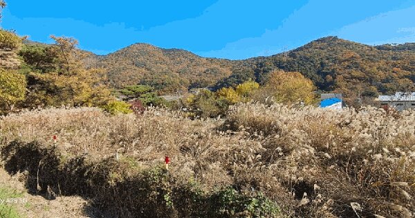 경상남도 양산시 평산동 955 답 경매 물건 이미지