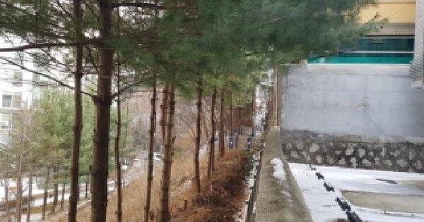 강원특별자치도 춘천시 후평동 904-8 대지 경매 물건 이미지