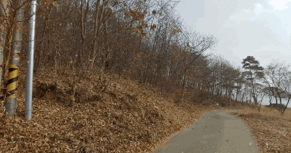 충청남도 서산시 온석동 산27-1 임야 경매 물건 이미지