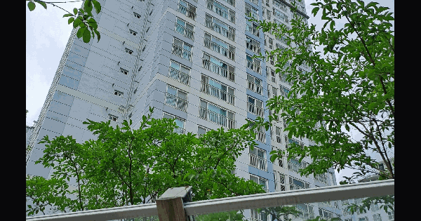부산광역시 북구 만덕동 958 백양디이스트 204동 6층602호 아파트 경매 물건 이미지