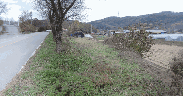 충청남도 홍성군 구항면 지정리 684 전 경매 물건 이미지