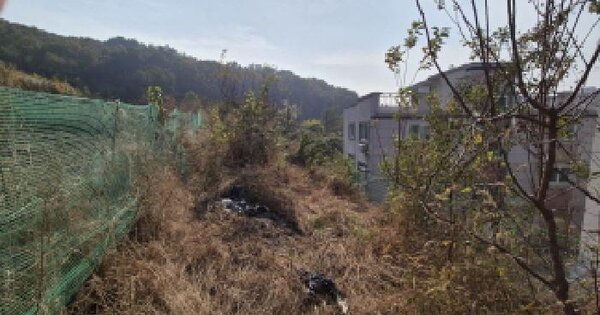 세종특별자치시 금남면 용포리 51-7 전 경매 물건 이미지